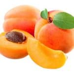 Aprikose