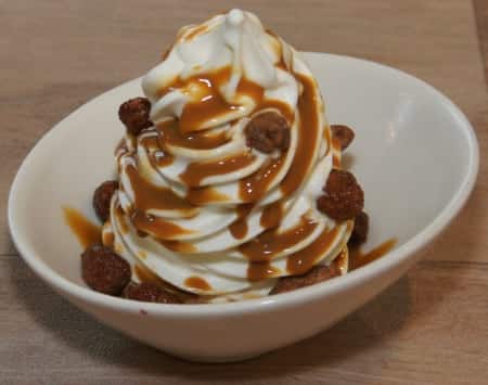 Frozen Yoghurt: Dulce de Leche